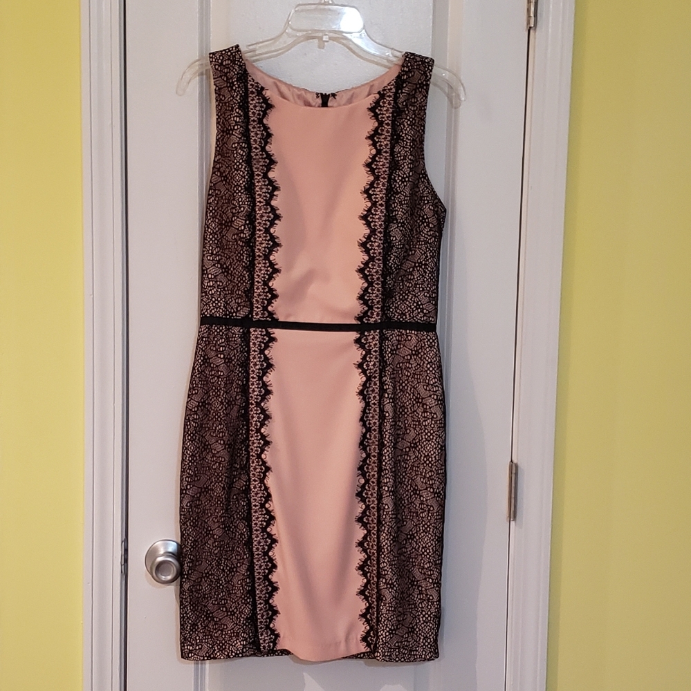 Rose Petal Pink Sheath Dress